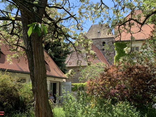 Blick auf das Ensemble im Sommer, Foto: Alexander Jung